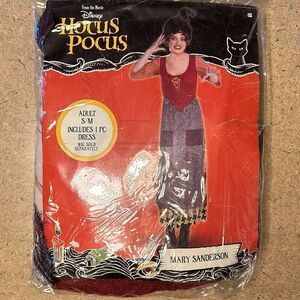 Disney Hocus Pocus Mary Sanderson Halloween Costume Small Medium New